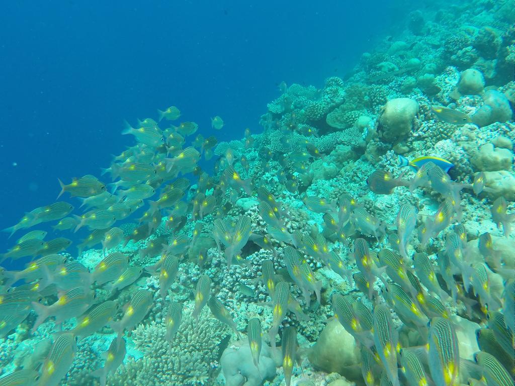 Ras Beach Inn Rasdhoo Exteriör bild