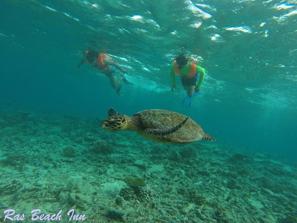 Ras Beach Inn Rasdhoo Exteriör bild