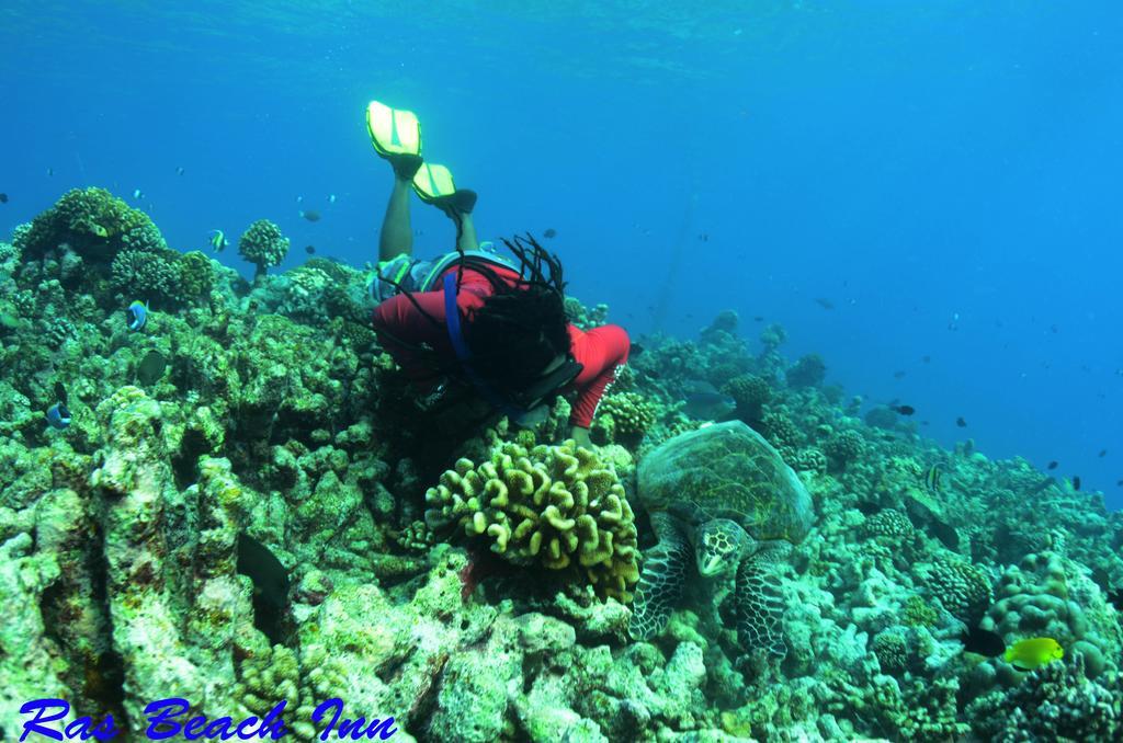 Ras Beach Inn Rasdhoo Exteriör bild
