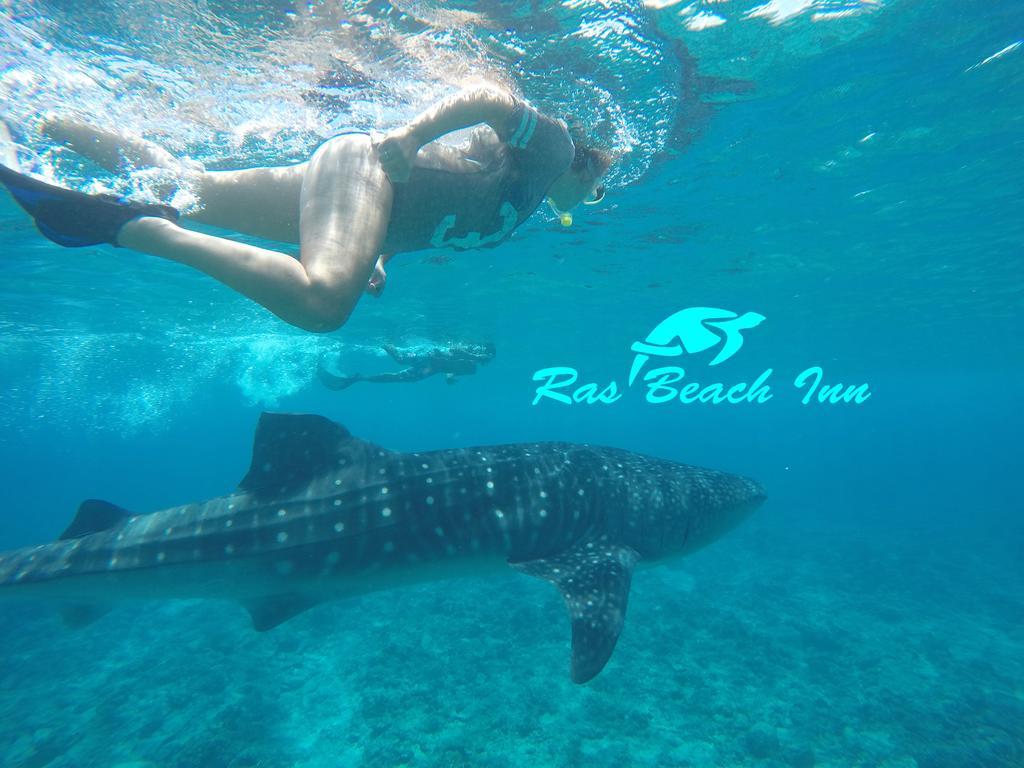 Ras Beach Inn Rasdhoo Exteriör bild